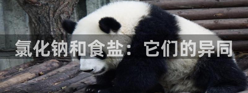 威九国际网站为什么不禁止