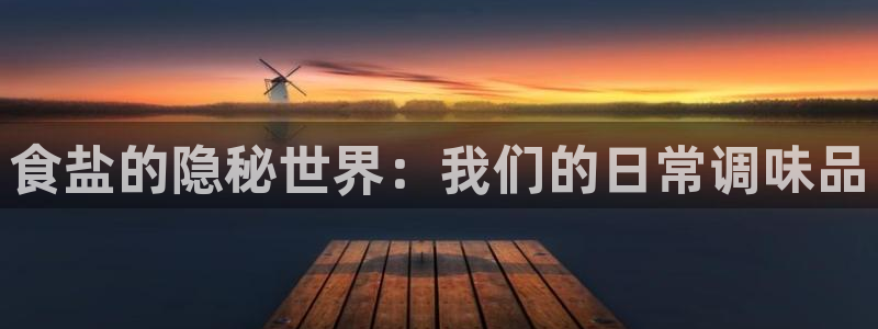 威九国际合作伙伴有哪些