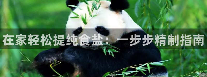 威九国际客服电话号码