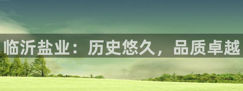 威九国际能提现吗