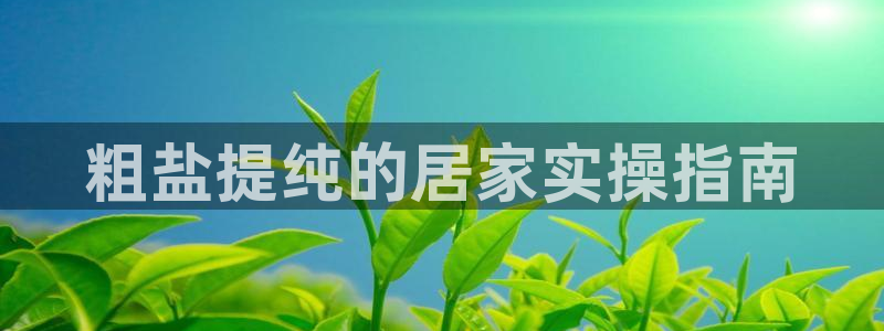 威九国际网站是多少