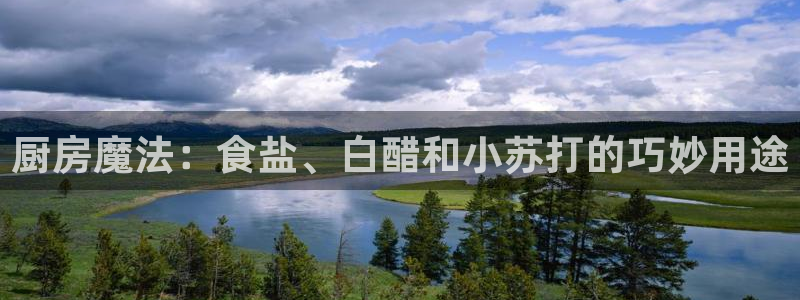 威九国际最近的视频
