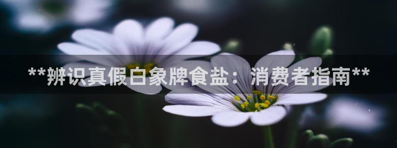 威九国际官方入口官网