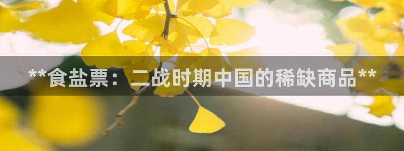 威九国际清砖码头怎么样