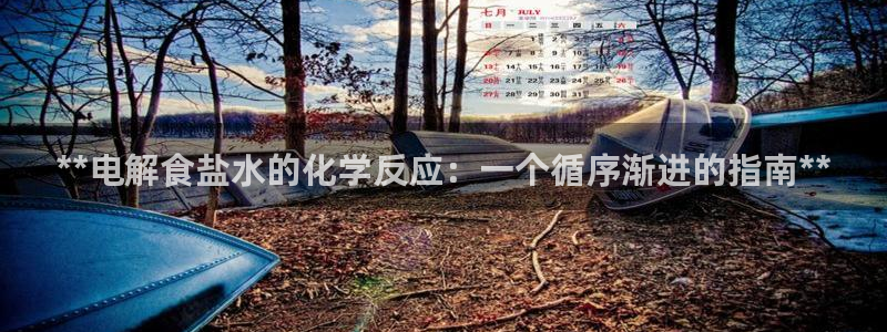 威九国际精选