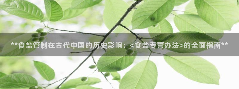 威九国际ppt免费下载