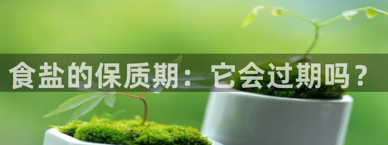 保定威九网络科技有限公司电话