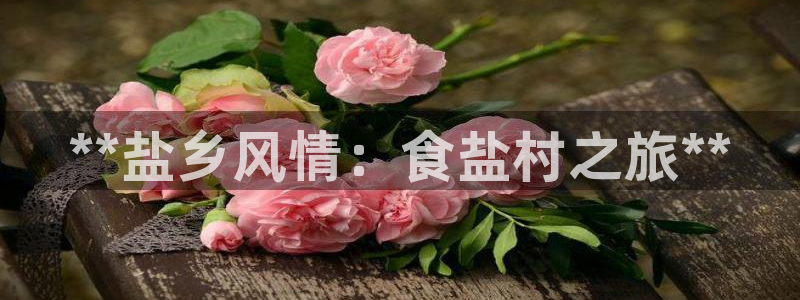 威九国际的演员