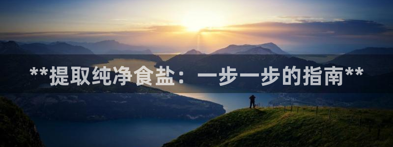 威九国际网站入口官网免费