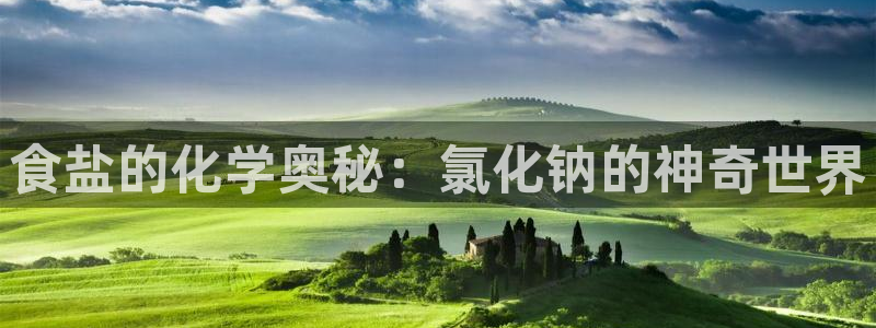 威九国际免费