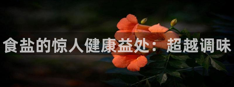 威九国际网站进入客服中心怎么退出