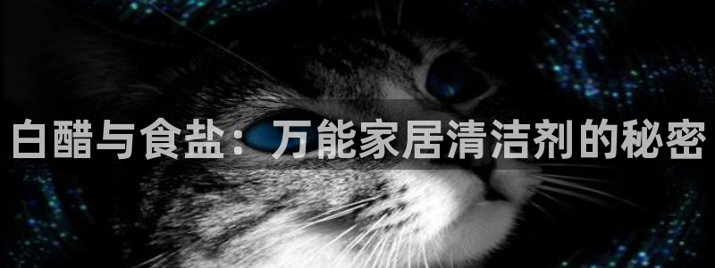 威九国际78m78