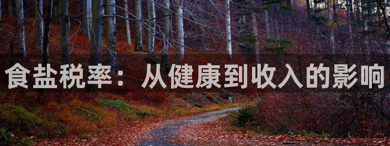 威九国际网站怎么样知乎
