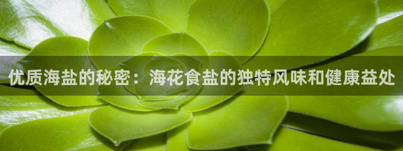 威九国际网站经常打不开网页
