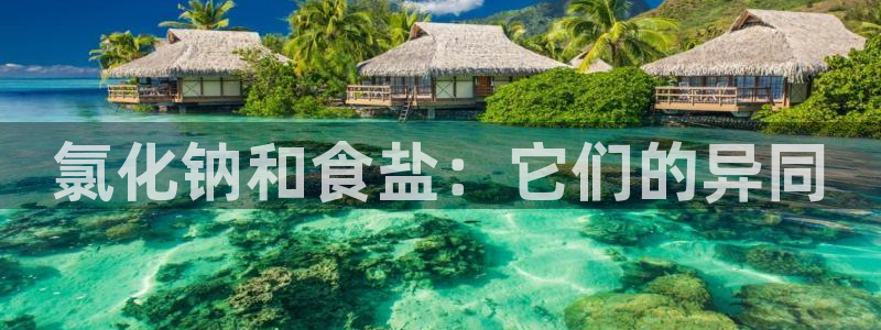 威九国际在哪里