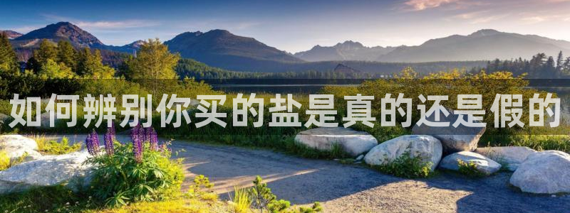 威九国际旗下艺人