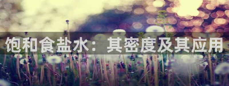 威九国际女明星