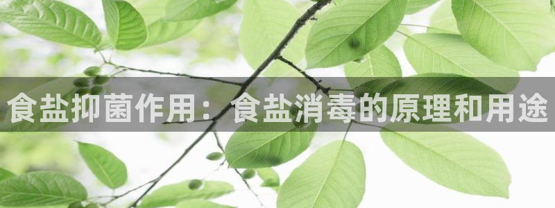 威九国际78mB