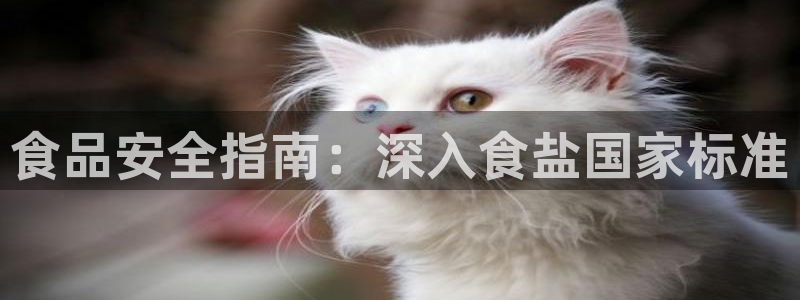 威九国际v96242cc官网版