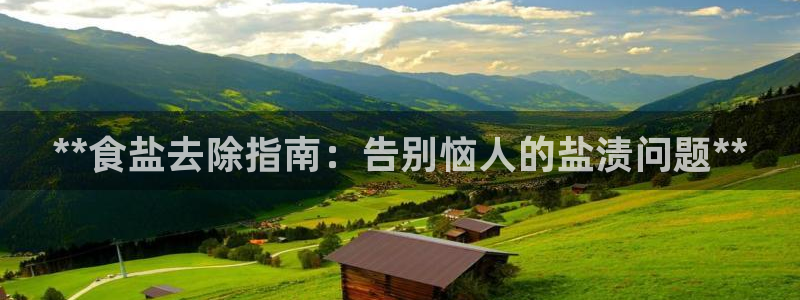 威九国际狂飚电影