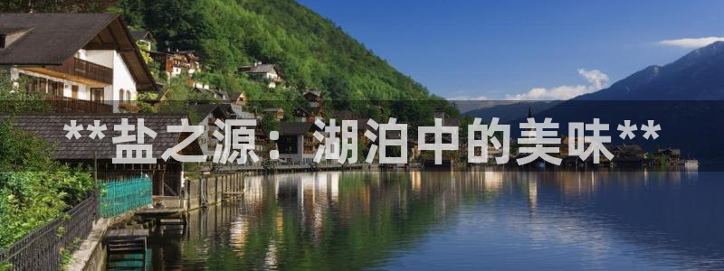 威九国际空降服务怎么样