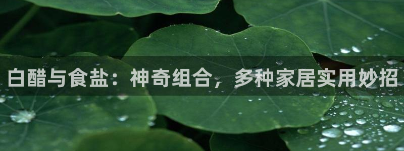 威九国际图片