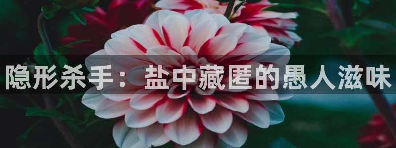 威九国际下载官网app