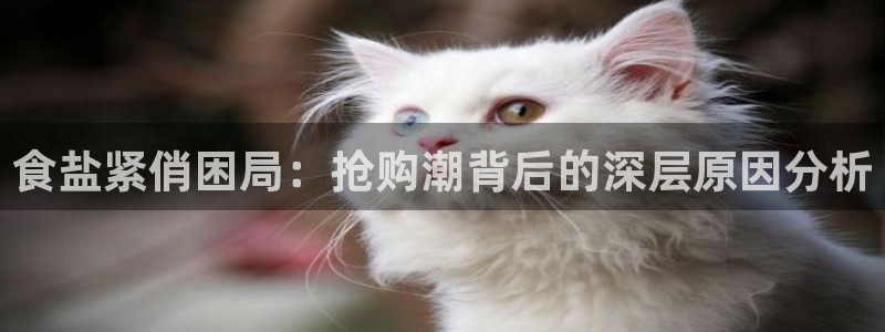 威九国际狂飚电影