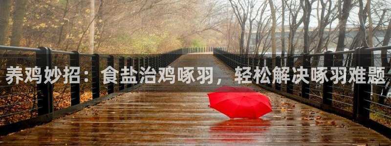 威九国际78mb玩法
