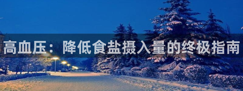 威九国际H