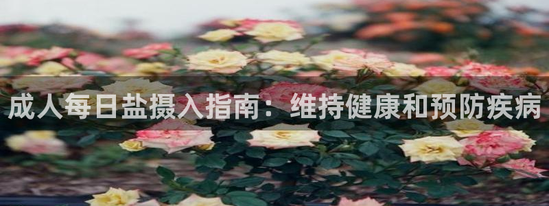 威九国际小说