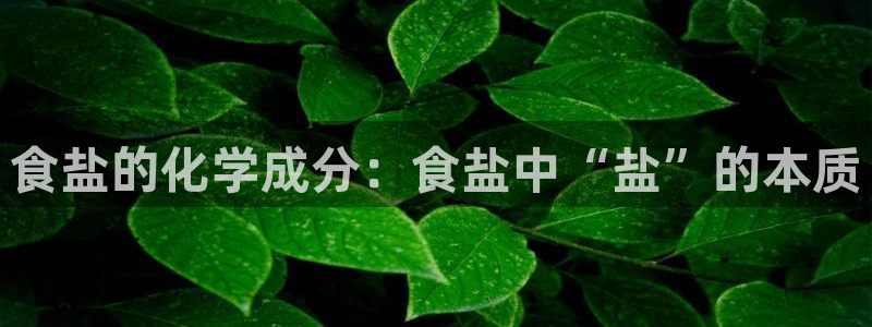 威九国际集团66m一6在线