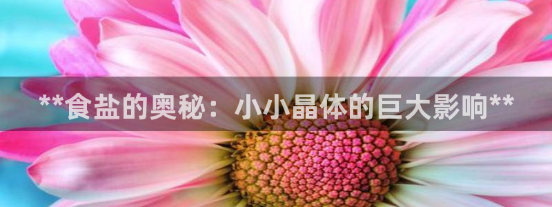 威九国际免费网络站