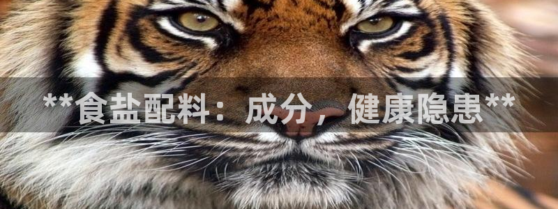 威九国际ppt免费吗