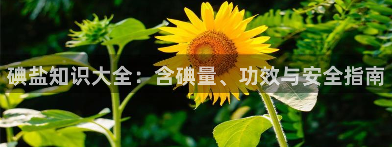 威九国际网站入口官网免费