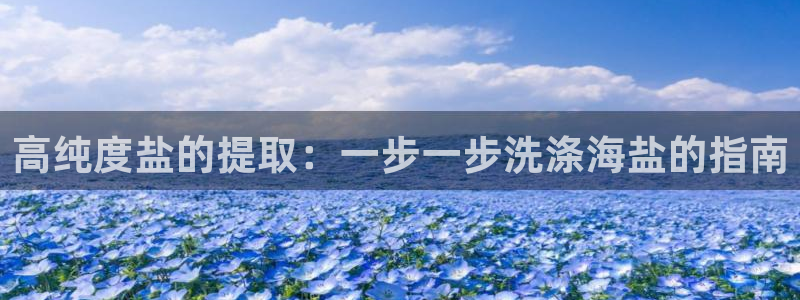 威九国际的女主