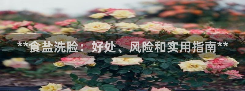 威九国际APP那个地方