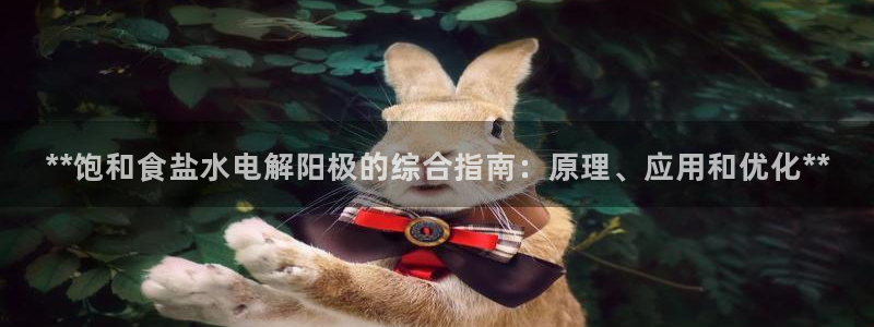 78mppt威九国际