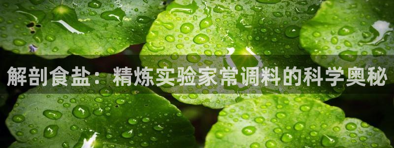 威九国际网站在哪里