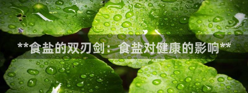 威九国际清砖码