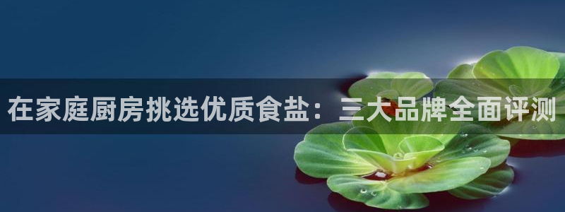 威九国际网站更新