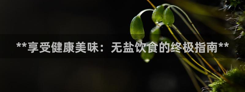 威九国际ppt官网