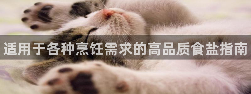 威九国际ppt免费下载网址