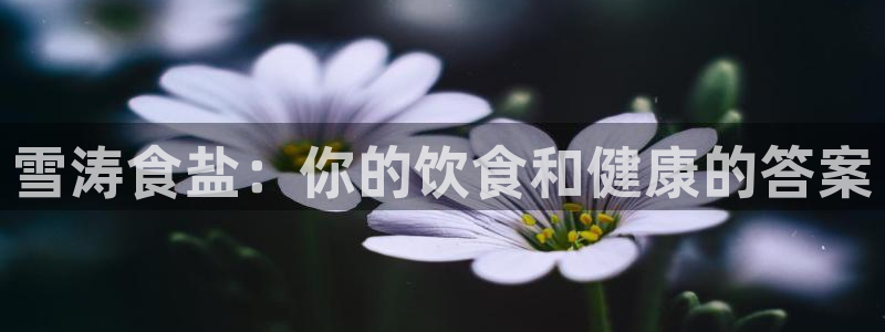威九国际清砖码头在哪