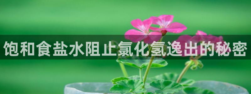 威九国际66m66m