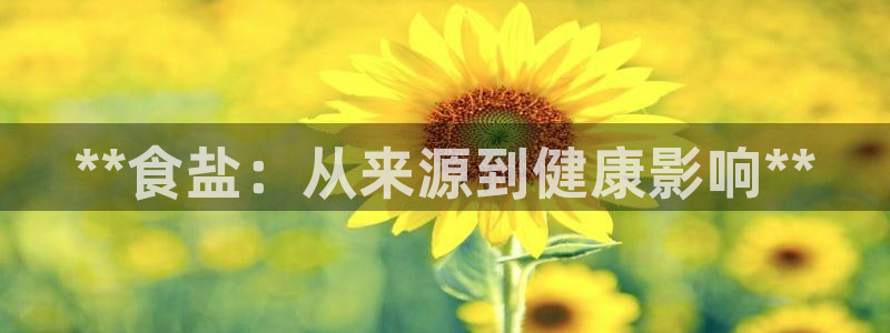威九国际66m66m