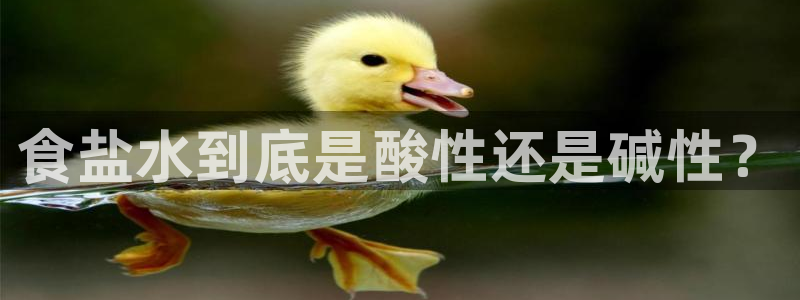 威九国际v96BET