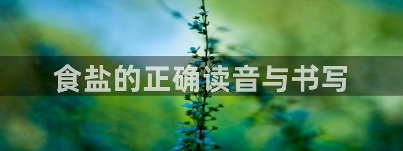 78mapp威九国际