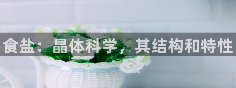 威九国际免费进入