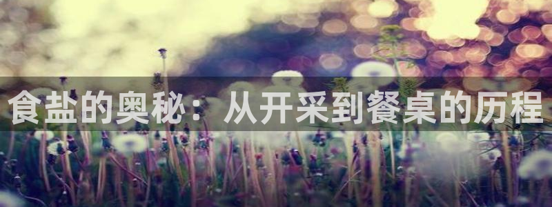 威九国际app入口官网